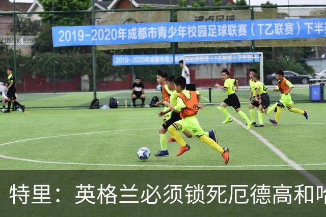 特里：英格兰必须锁死厄德高和哈兰德，这样就有机会赢挪威